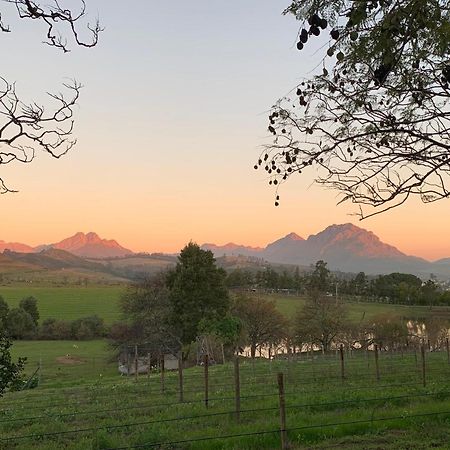 Wildlife Retreat On A Wine-Farm Villa Stellenbosch Kültér fotó